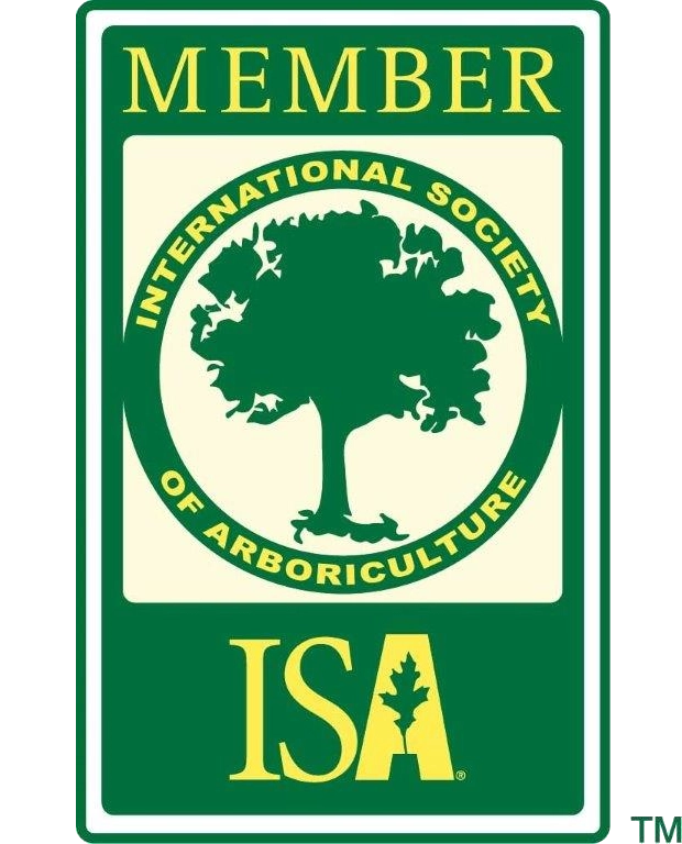 ISA MemberNO - 8035